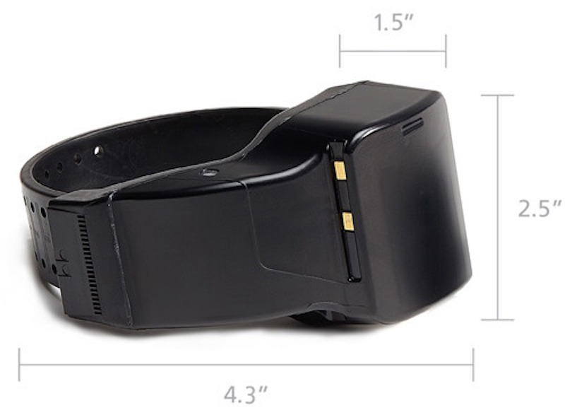 GPS monitoring bracelets: A relatively new solution to age-old problems |  Members | idahopress.com